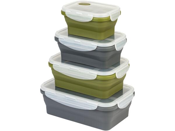 Collapsible Storage Containers