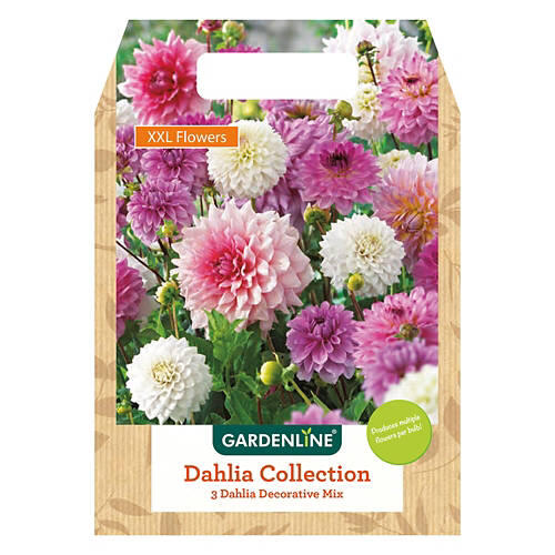 Mixed Spring Bulbs - Assorted Varieties