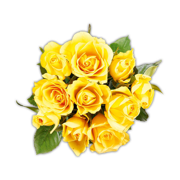 FAIRTRADE(R) Rosen