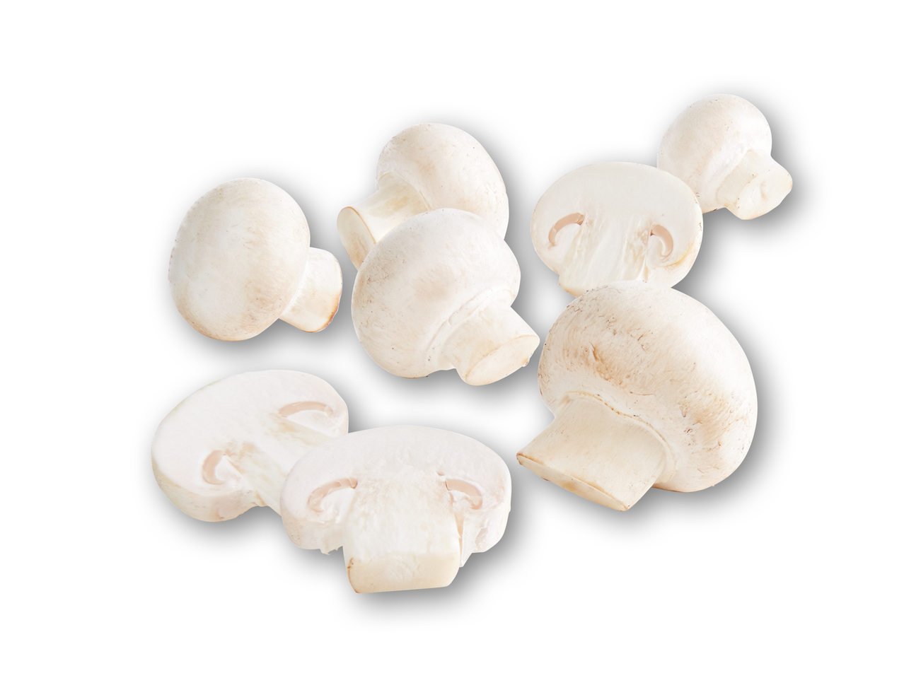 Danske champignon