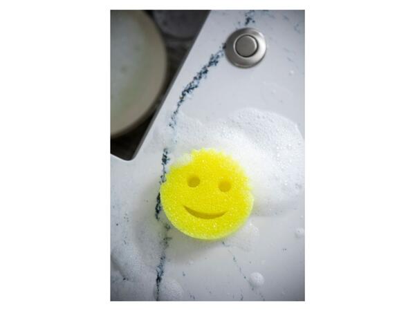 Sponge