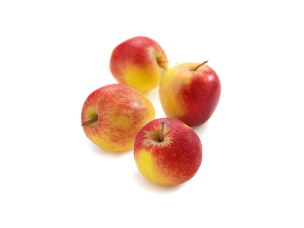 Pommes Jonagold XXL