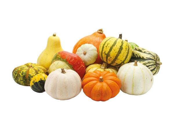 Mixed Gourds