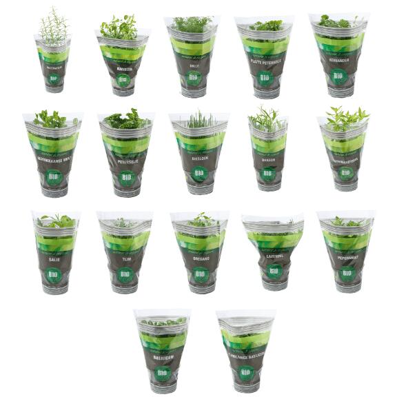Plante aromatique bio