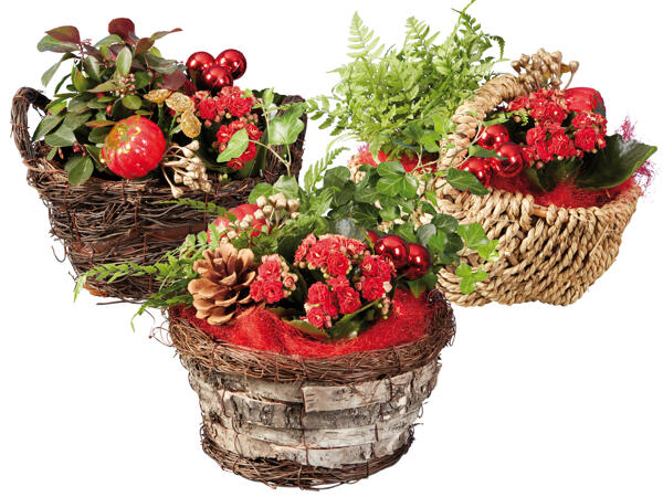 Weihnachtskorb