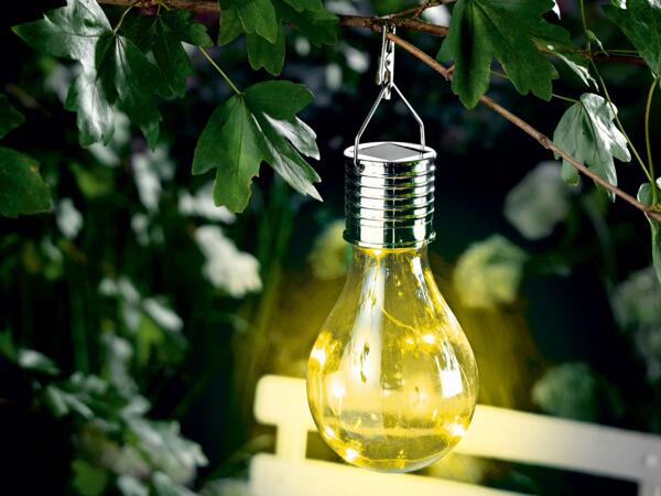 Decorative Solar Light