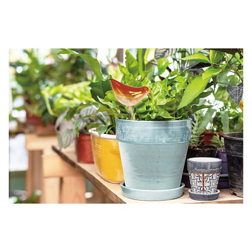 Bird Shaped Self Watering Globes