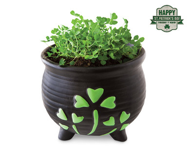 Novelty Shamrock Skillet