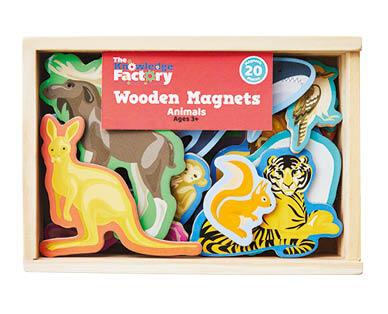 Educational Wooden Magnets