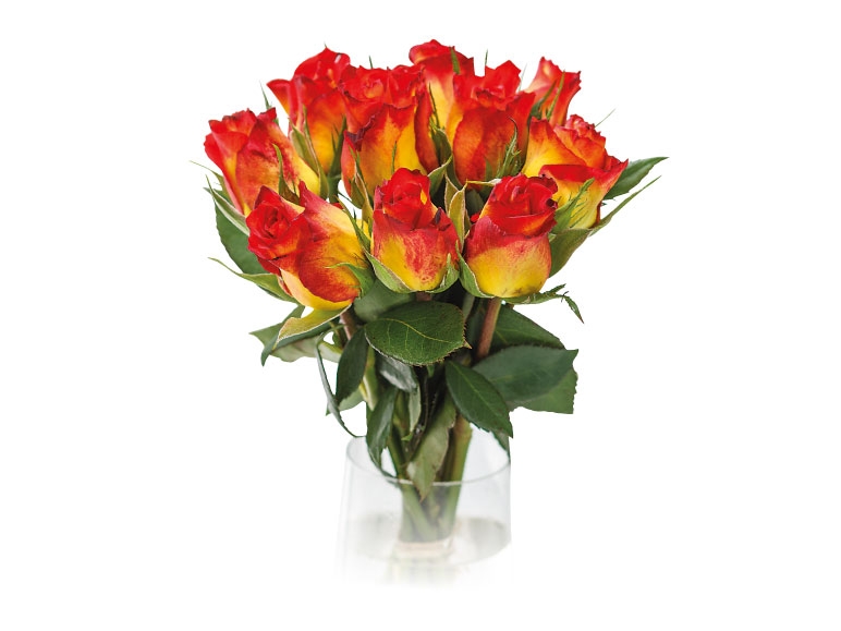 Roses