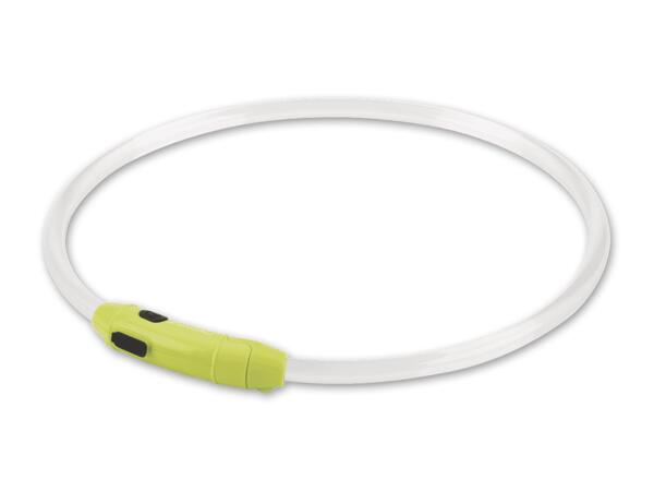 LED-Hundehalsband/Leuchtband