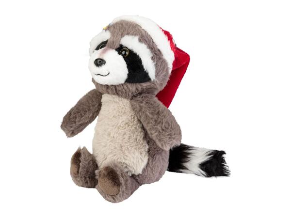 Cuddly Raccoon