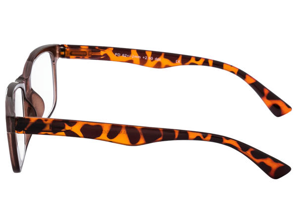 Reading Glasses