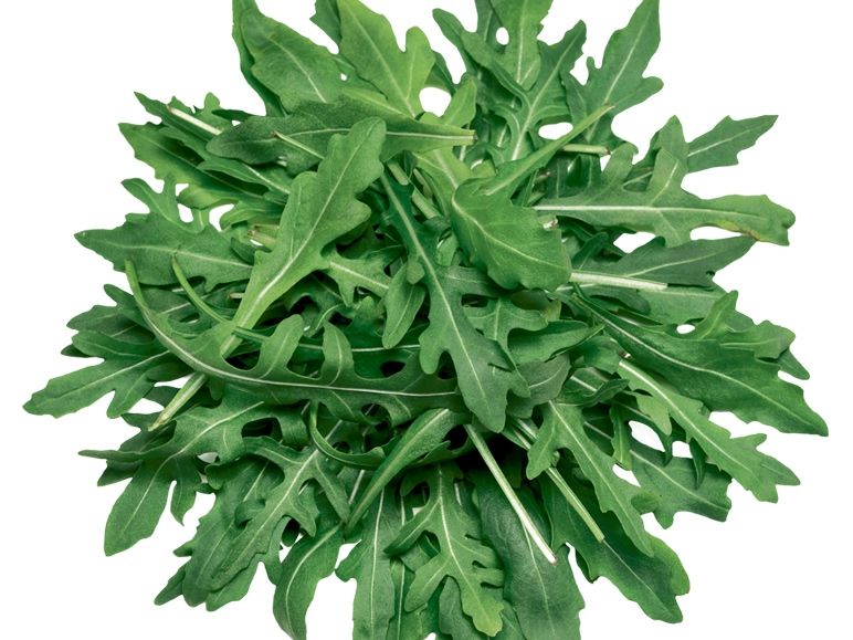 Rucola-Salat