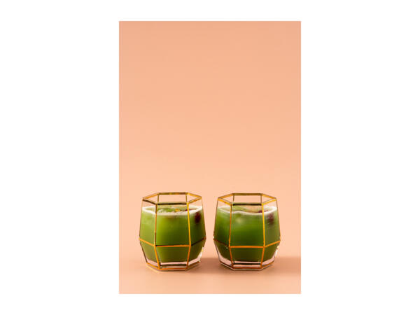 Root7 Assorted Tumbler