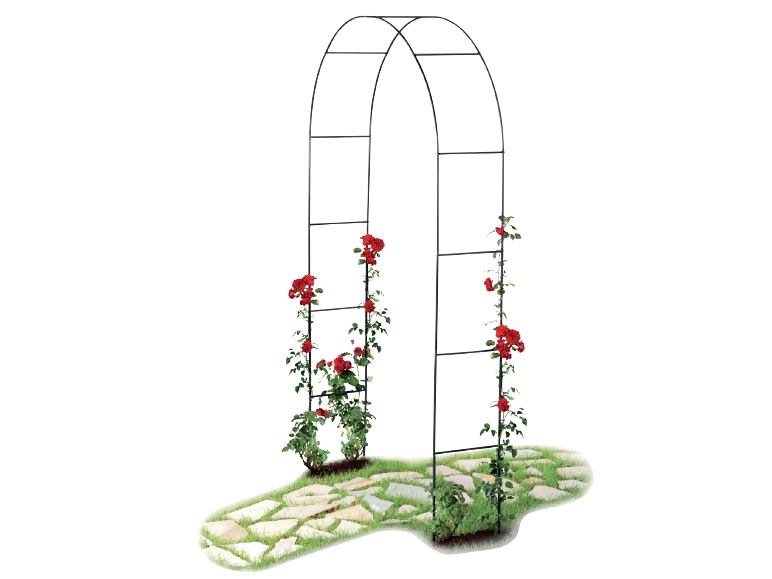 FLORABEST Rose Arch