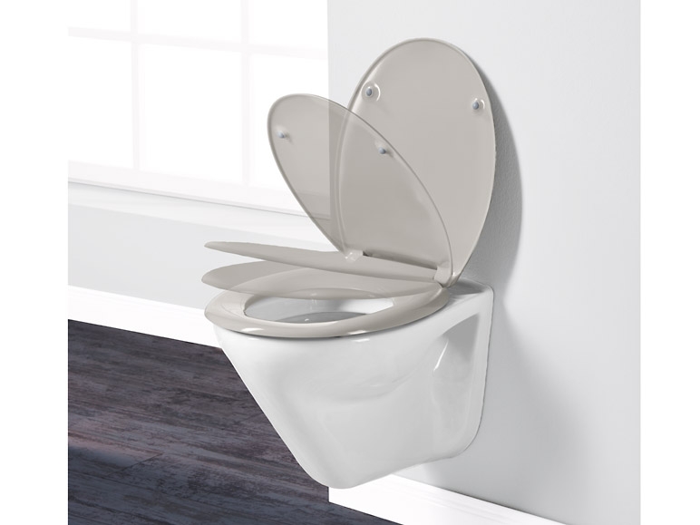 Toilet Seat