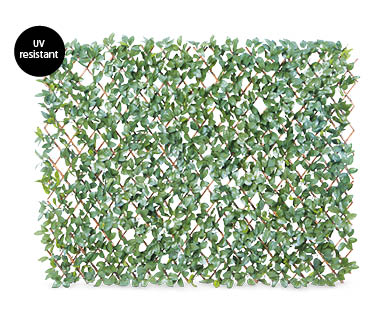 Expanding Wall Trellis