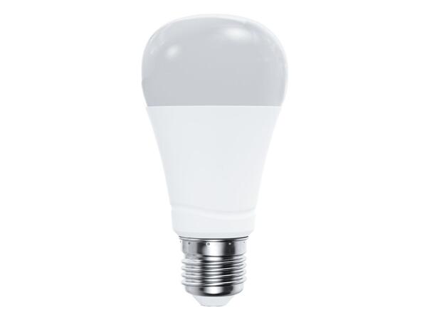 Smart LED Light Bulb
