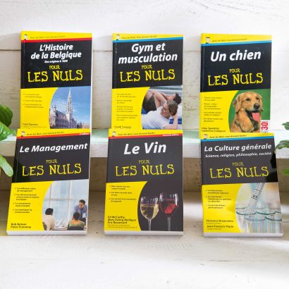 Buch "Pour les nuls"