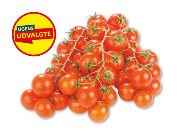 Økologiske cherrytomater