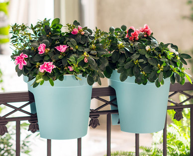 GARDENLINE Balkon-Blumentopf