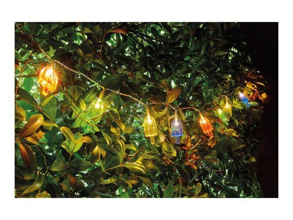 Melinera 10 Decorative LED String Lights1