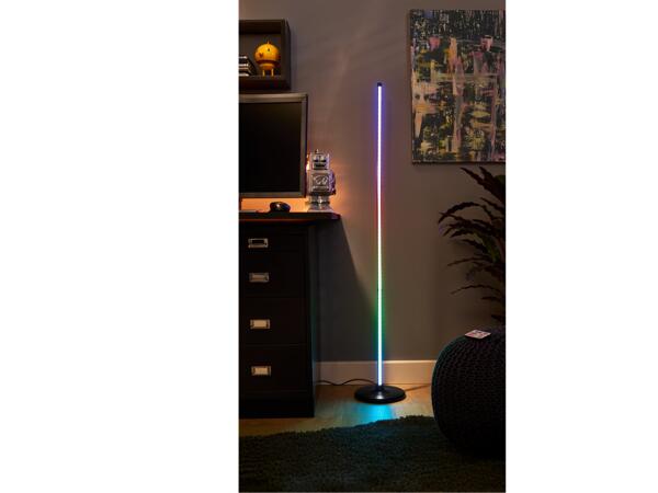 LED Floor Lamp with Audio Sensor