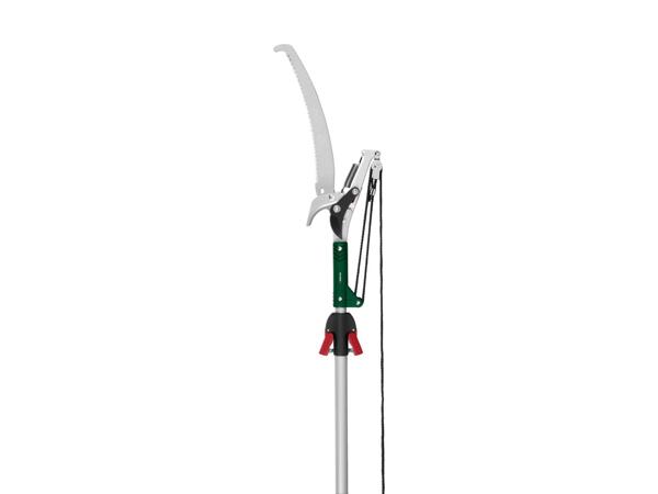 Telescopic Tree Pruner with Saw