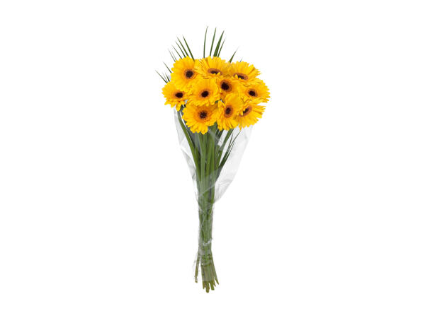 Bunch of Gerberas