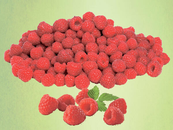 Himbeeren