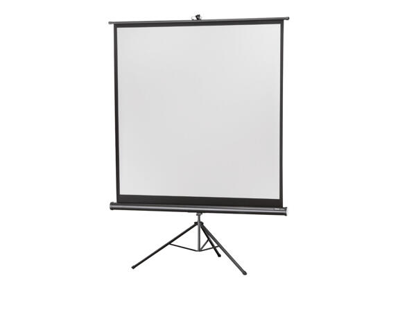 Projector Screen