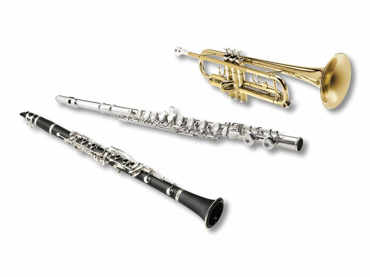 Instrument à vent