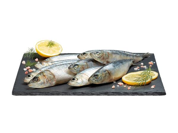 Sardinen​