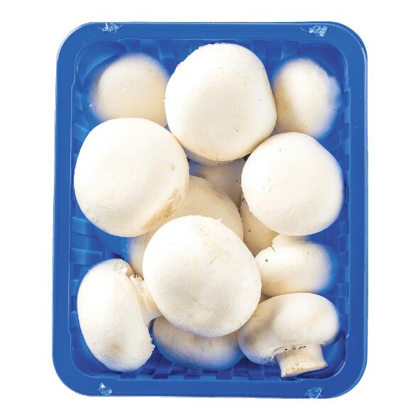 Fijne champignons