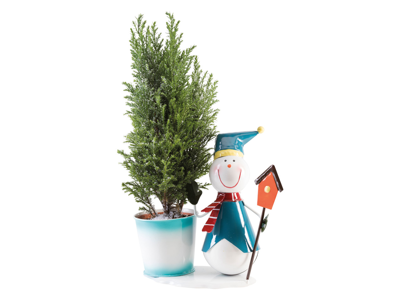 ÄDELCYPRESS MED VINTERFIGURER