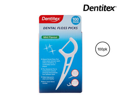 Disposable Dental Floss Picks 100pk