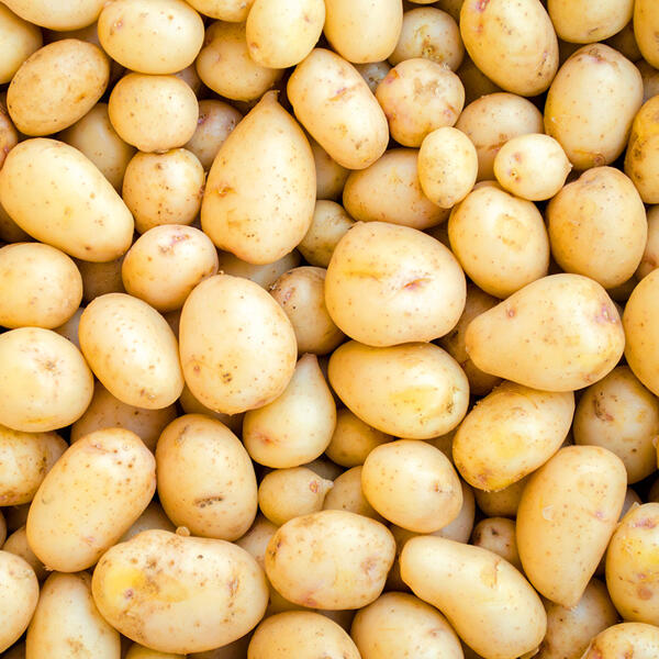 Speisekartoffeln