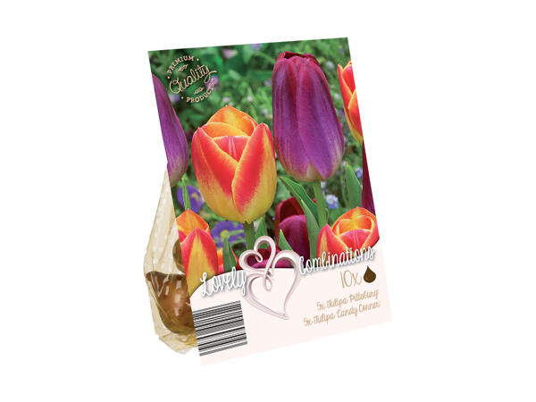 Blomsterløg