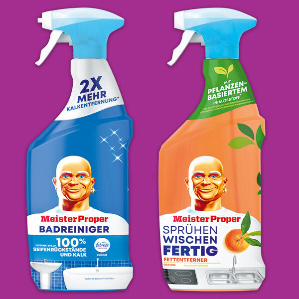 Reiniger