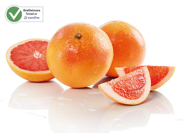 Grapefruit XXL