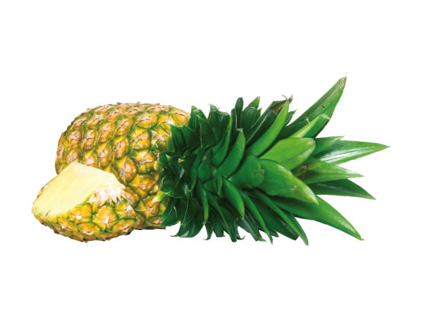PINEAPPLE