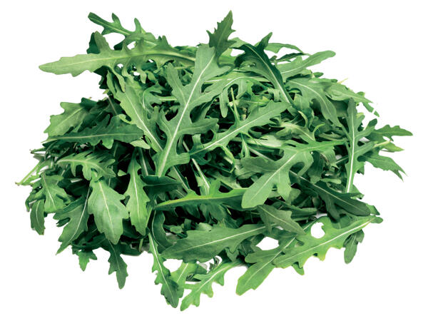 Rucola