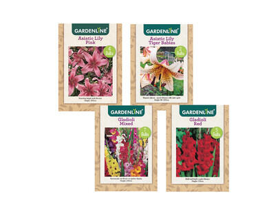 Packet Bulbs