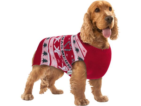 Dog Jumper