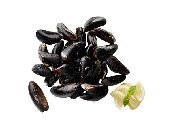 Mussels