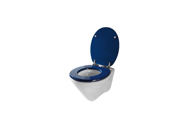 Toilet Seat