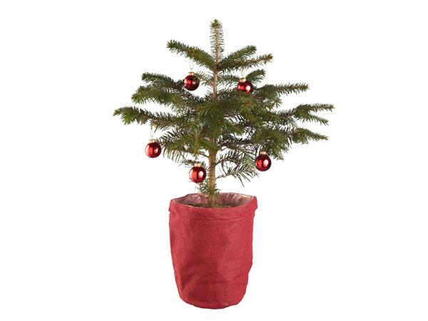Apartment Christmas Tree