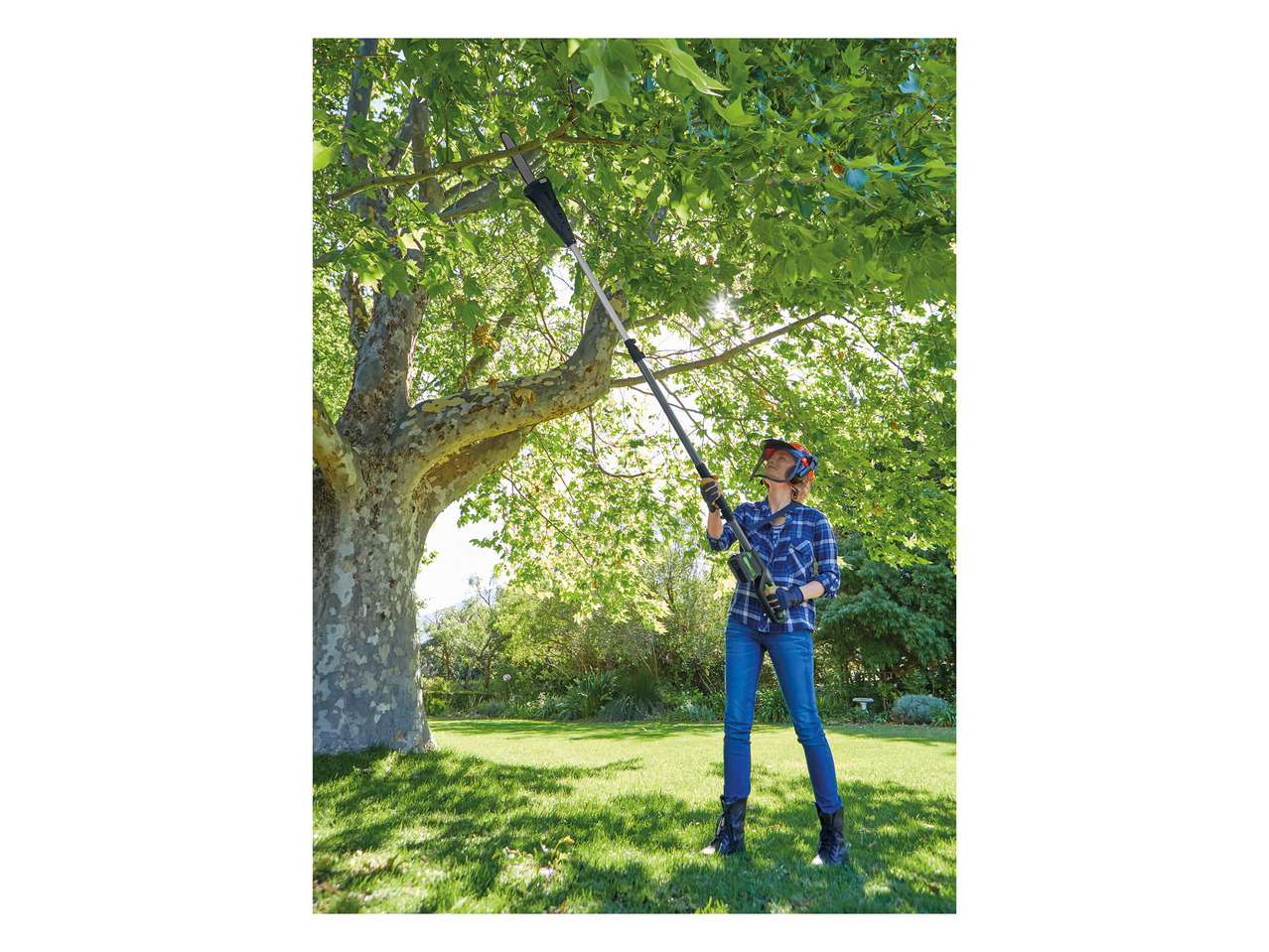 Florabest 40V Cordless Pole Pruner1