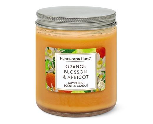 Huntington Home 
 Single-Wick Candle